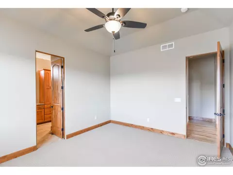6734 Murano Ct, Windsor, CO 80550 photo 24
