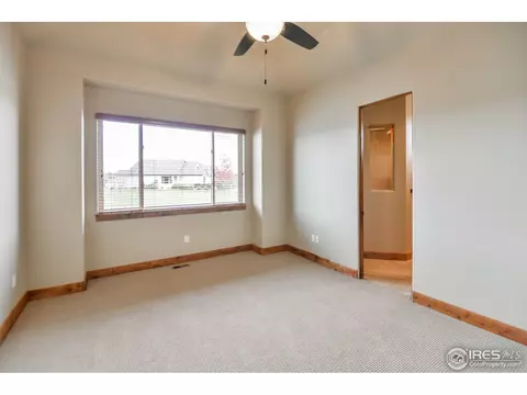 6734 Murano Ct, Windsor, CO 80550 photo 23