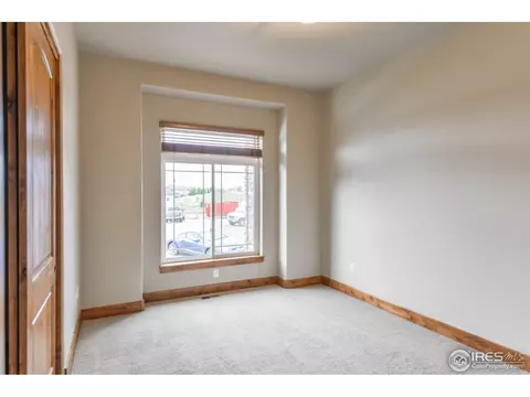 6734 Murano Ct, Windsor, CO 80550 photo 21