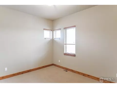 6734 Murano Ct, Windsor, CO 80550 photo 22