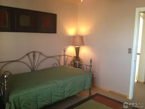 20311 E 47th Pl, Denver, CO 80249 photo 21