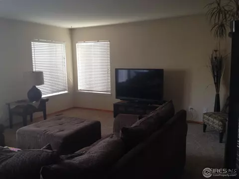 20311 E 47th Pl, Denver, CO 80249 photo 9
