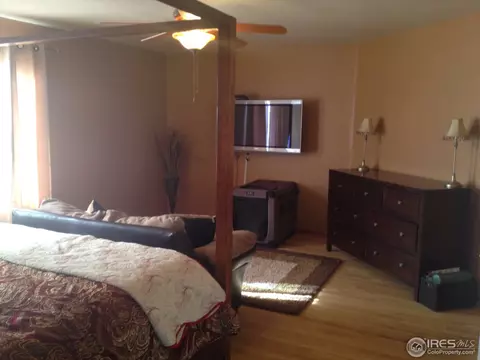 20311 E 47th Pl, Denver, CO 80249 photo 17