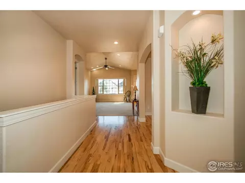 1999 Vineyard Dr, Windsor, CO 80550 photo 16