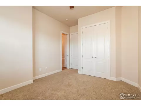 1999 Vineyard Dr, Windsor, CO 80550 photo 22