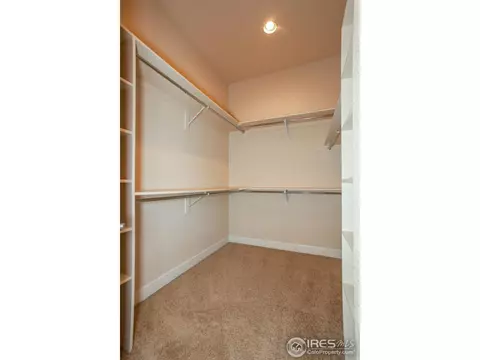 1999 Vineyard Dr, Windsor, CO 80550 photo 21