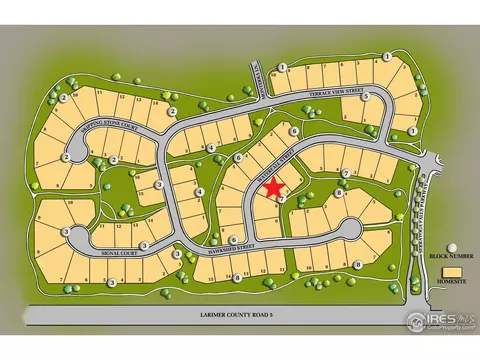 1067 Waterfall St, Timnath, CO 80547 photo 6
