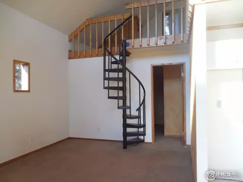 493 Juniper Ln, Bailey, CO 80421 photo 11