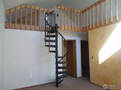 493 Juniper Ln, Bailey, CO 80421 photo 8