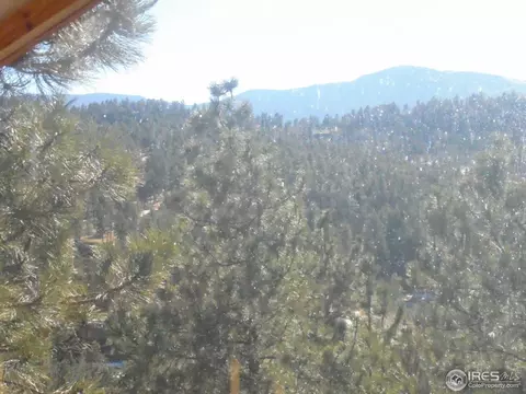 493 Juniper Ln, Bailey, CO 80421 photo 3