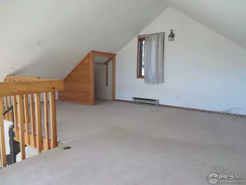 493 Juniper Ln, Bailey, CO 80421 photo 10