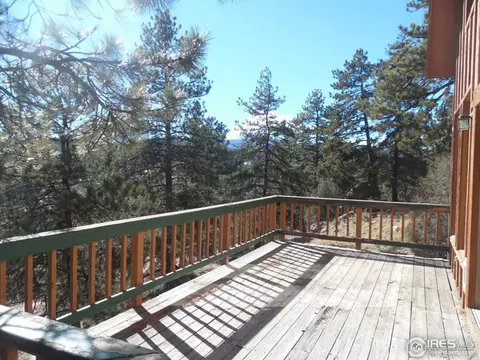 493 Juniper Ln, Bailey, CO 80421 photo 2