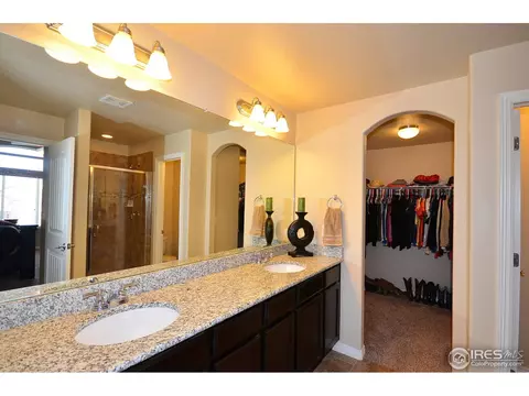 4602 Freehold Dr, Windsor, CO 80550 photo 18