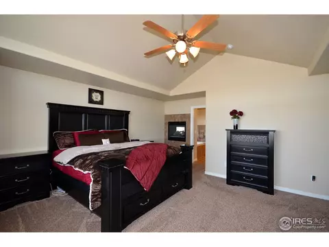 4602 Freehold Dr, Windsor, CO 80550 photo 16