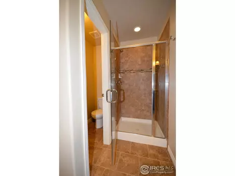 4602 Freehold Dr, Windsor, CO 80550 photo 19