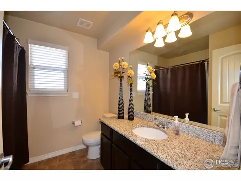 4602 Freehold Dr, Windsor, CO 80550 photo 15