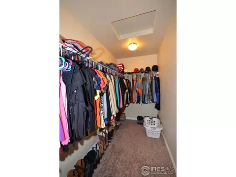 4602 Freehold Dr, Windsor, CO 80550 photo 20