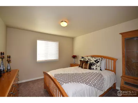 4602 Freehold Dr, Windsor, CO 80550 photo 13