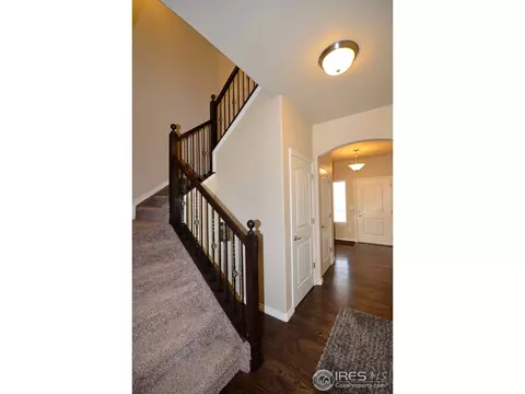 4602 Freehold Dr, Windsor, CO 80550 photo 8