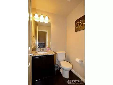 4602 Freehold Dr, Windsor, CO 80550 photo 9