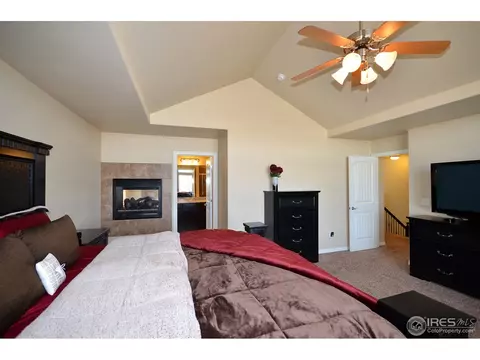 4602 Freehold Dr, Windsor, CO 80550 photo 17