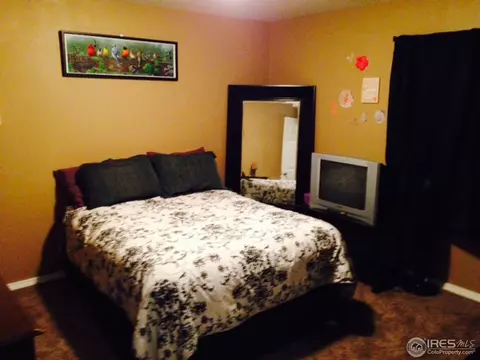 412 Suzann St, Wiggins, CO 80654 photo 16
