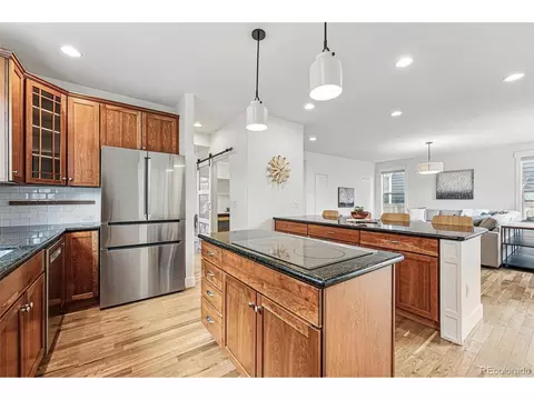 9826 E 27th Dr, Denver, CO 80238 photo 16