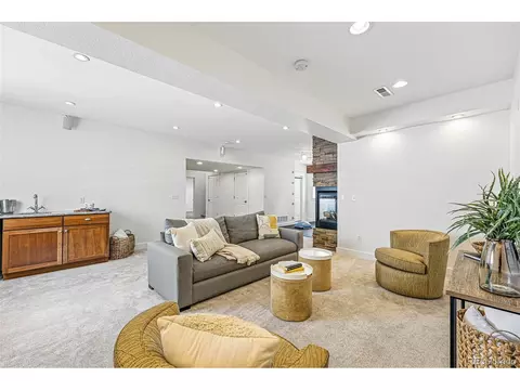 9826 E 27th Dr, Denver, CO 80238 photo 37