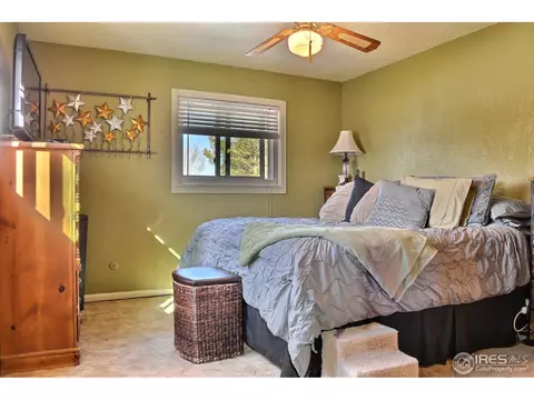 327 10th St, Windsor, CO 80550 photo 16