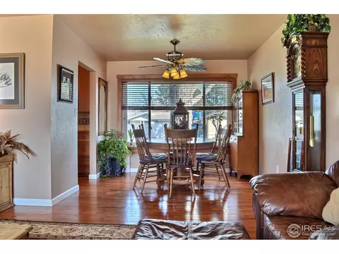 327 10th St, Windsor, CO 80550 photo 6