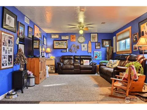 327 10th St, Windsor, CO 80550 photo 14