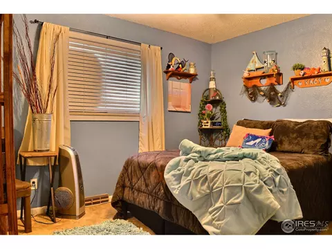 327 10th St, Windsor, CO 80550 photo 18