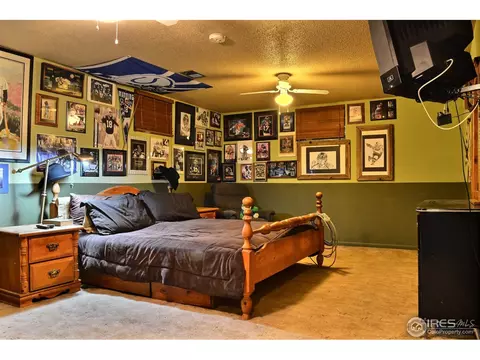327 10th St, Windsor, CO 80550 photo 20