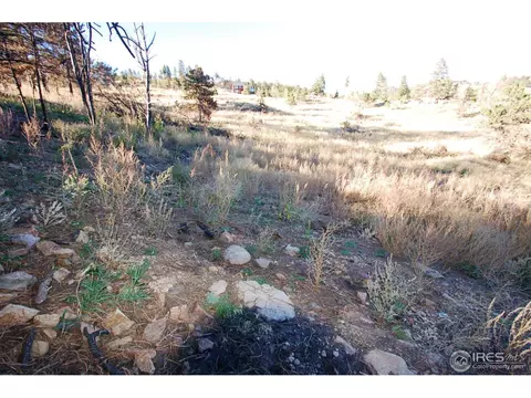 515 Dixon Rd, Boulder, CO 80302 photo 6