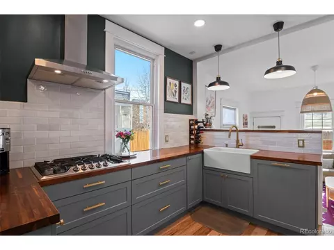 1018 E 4th Ave, Denver, CO 80218 photo 9