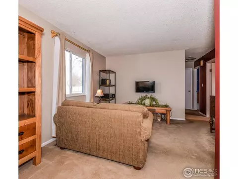 3713 Settlers Rd, Laporte, CO 80535 photo 4