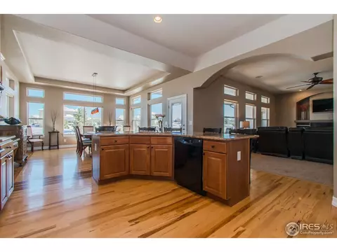 16690 Ivanhoe St, Brighton, CO 80602 photo 6