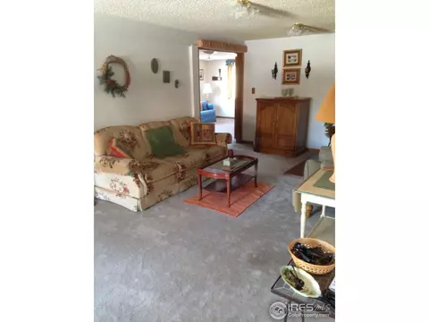 57 Antelope Dr, Lyons, CO 80540 photo 5