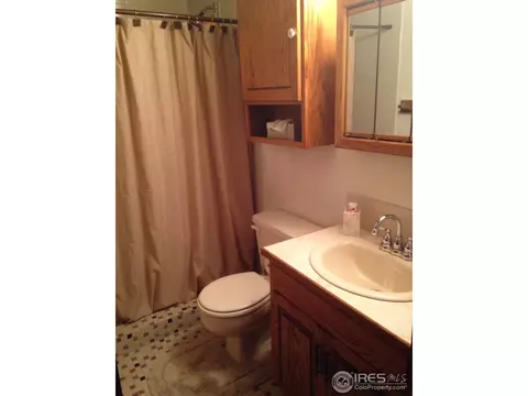 57 Antelope Dr, Lyons, CO 80540 photo 11