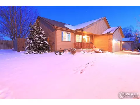 338 Amber Dr, Windsor, CO 80550 photo 2