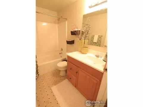 338 Amber Dr, Windsor, CO 80550 photo 23