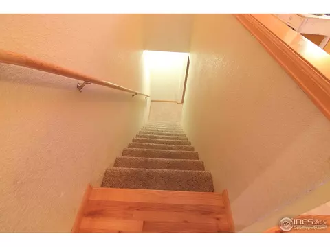 338 Amber Dr, Windsor, CO 80550 photo 20