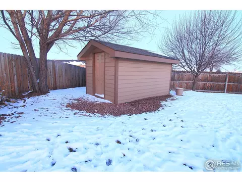 338 Amber Dr, Windsor, CO 80550 photo 5
