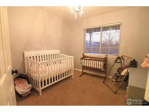 338 Amber Dr, Windsor, CO 80550 photo 18