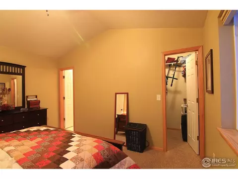 338 Amber Dr, Windsor, CO 80550 photo 15