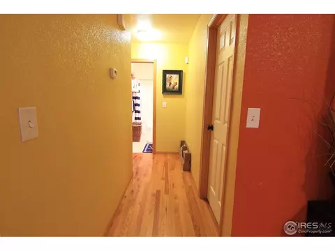338 Amber Dr, Windsor, CO 80550 photo 13