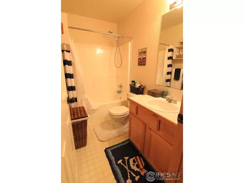 338 Amber Dr, Windsor, CO 80550 photo 19