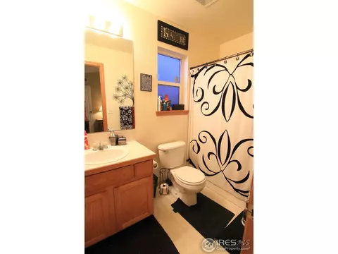 338 Amber Dr, Windsor, CO 80550 photo 16