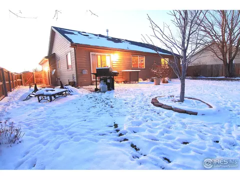 338 Amber Dr, Windsor, CO 80550 photo 4