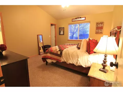 338 Amber Dr, Windsor, CO 80550 photo 14